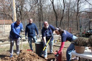 Corporate volunteers moving woodchips aroudn the greenhouse. 
