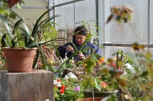 Students work in the Greenhouse program, earning their own money.